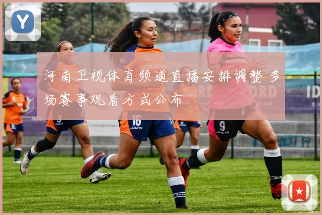 河南卫视体育频道直播安排调整 多场赛事观看方式公布