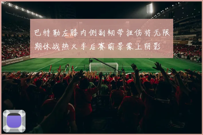 巴特勒左膝内侧副韧带扭伤将无限期休战热火季后赛前景蒙上阴影