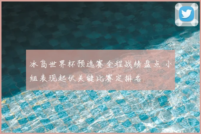 冰岛世界杯预选赛全程战绩盘点 小组表现起伏关键比赛定排名