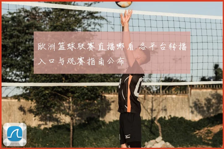 欧洲篮球联赛直播哪看 各平台转播入口与观赛指南公布