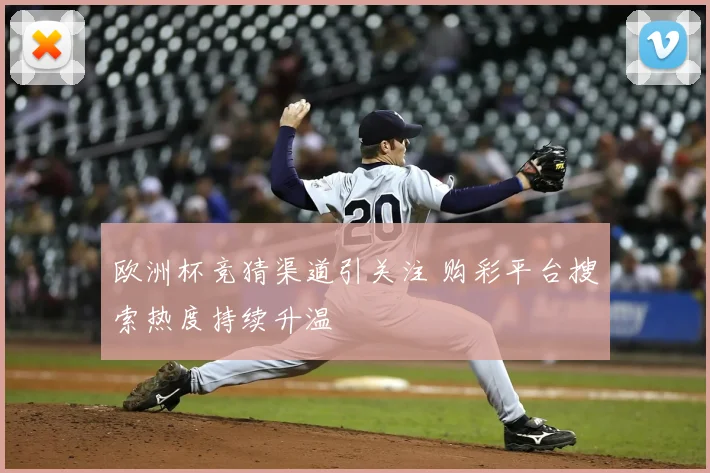 欧洲杯竞猜渠道引关注 购彩平台搜索热度持续升温